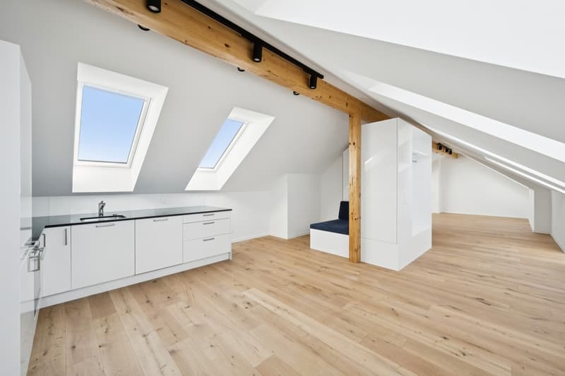 Erstbezug nach komplettem Dachausbau exklusive Dachgeschosswohnung mit Cabriofenster in zentraler Lage (3)