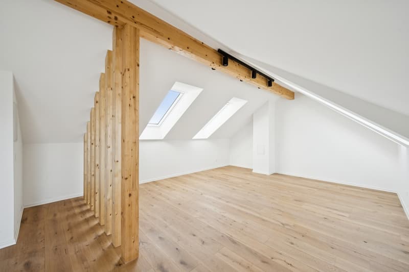 Erstbezug nach komplettem Dachausbau exklusive Dachgeschosswohnung mit Cabriofenster in zentraler Lage (7)