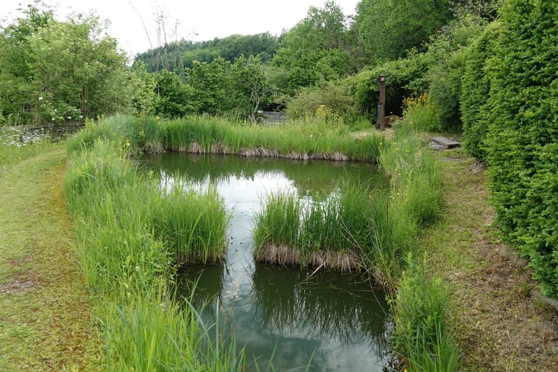 Rare domaine de jardin naturel près de Berne (13)