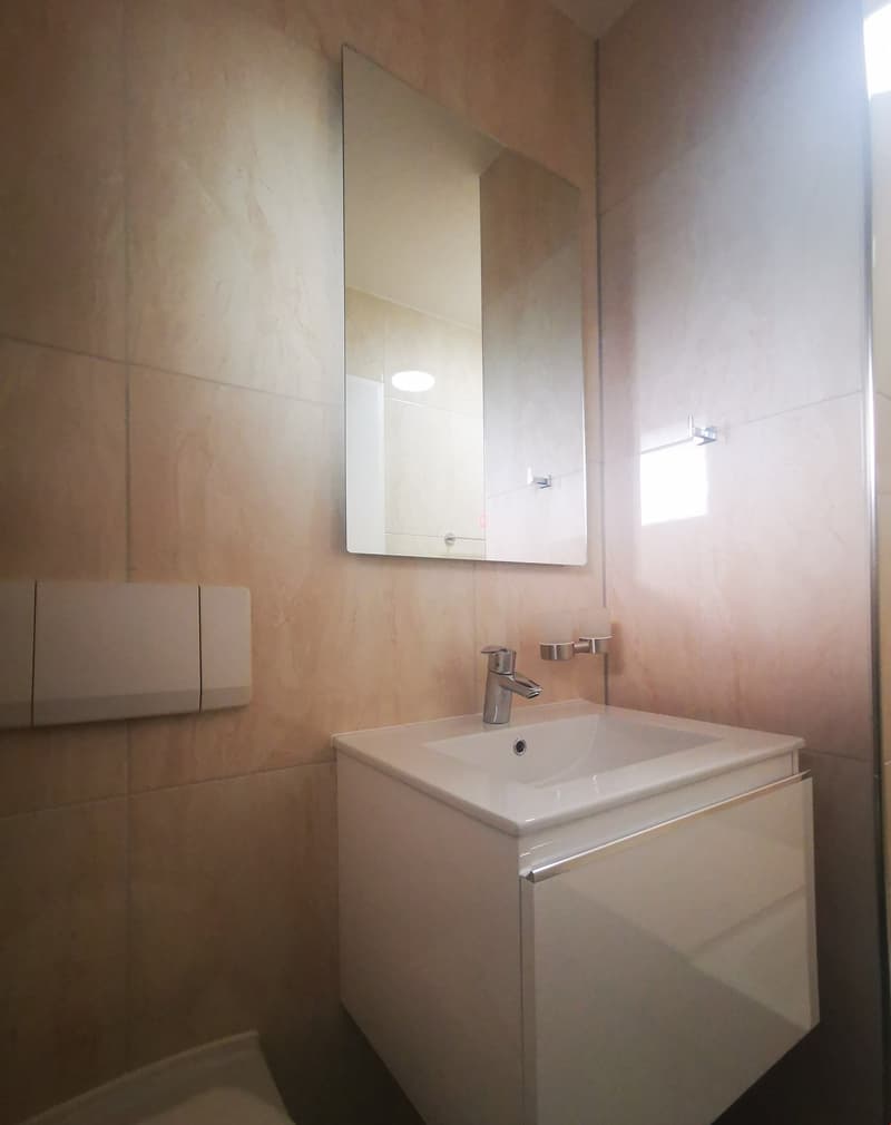 Appartement avec belle terrasse (4)