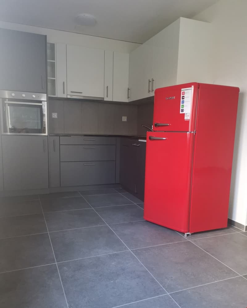 Appartement avec belle terrasse (3)