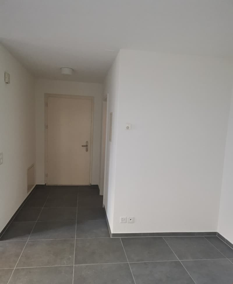 Apartment with beautiful terrace (6)
