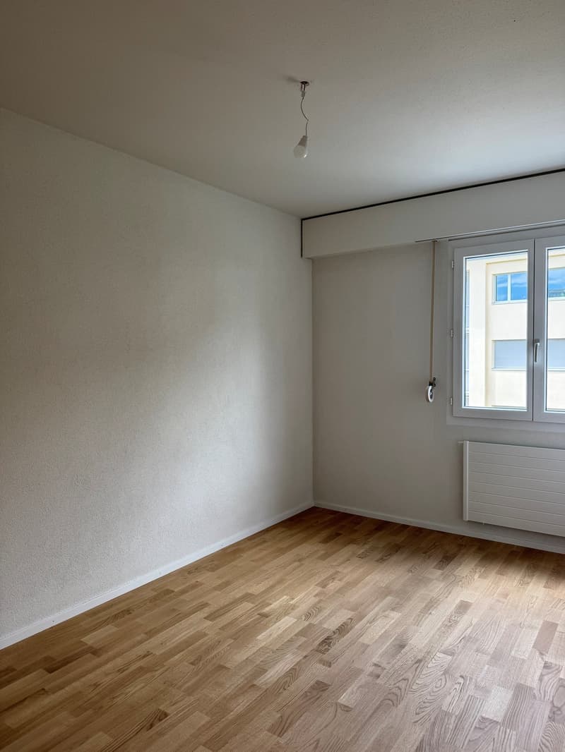 Completely renovated apartment with natural view (6)