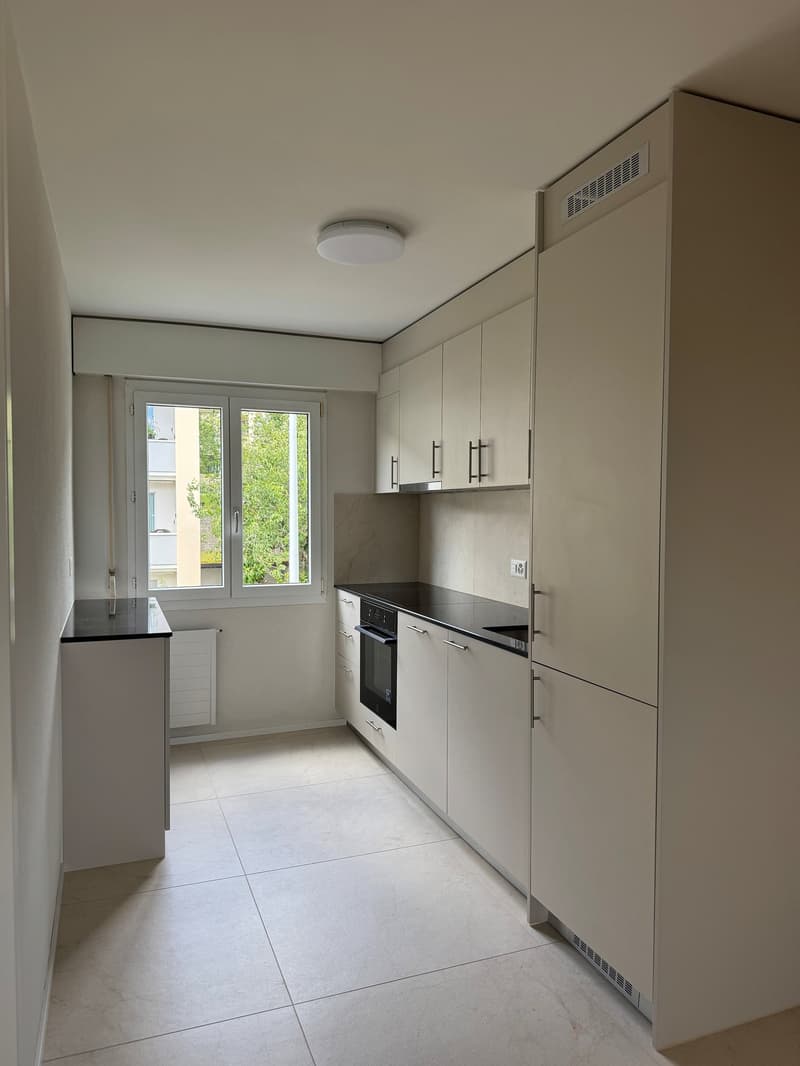 Completely renovated apartment with natural view (1)