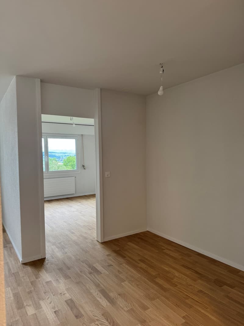 Completely renovated apartment with natural view (7)