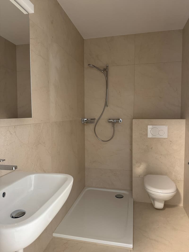 Completely renovated apartment with natural view (3)