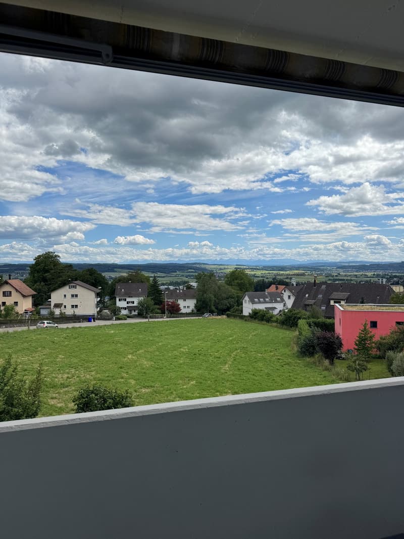 Completely renovated apartment with natural view (8)