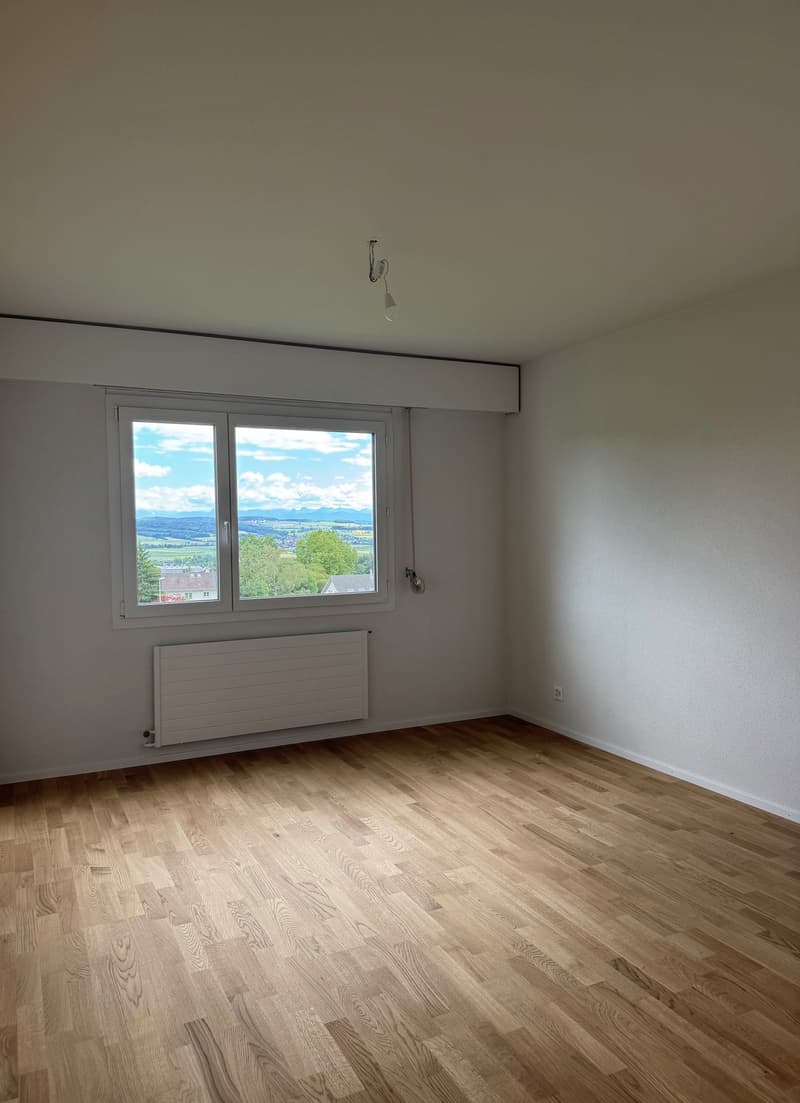 Completely renovated apartment with natural view (5)