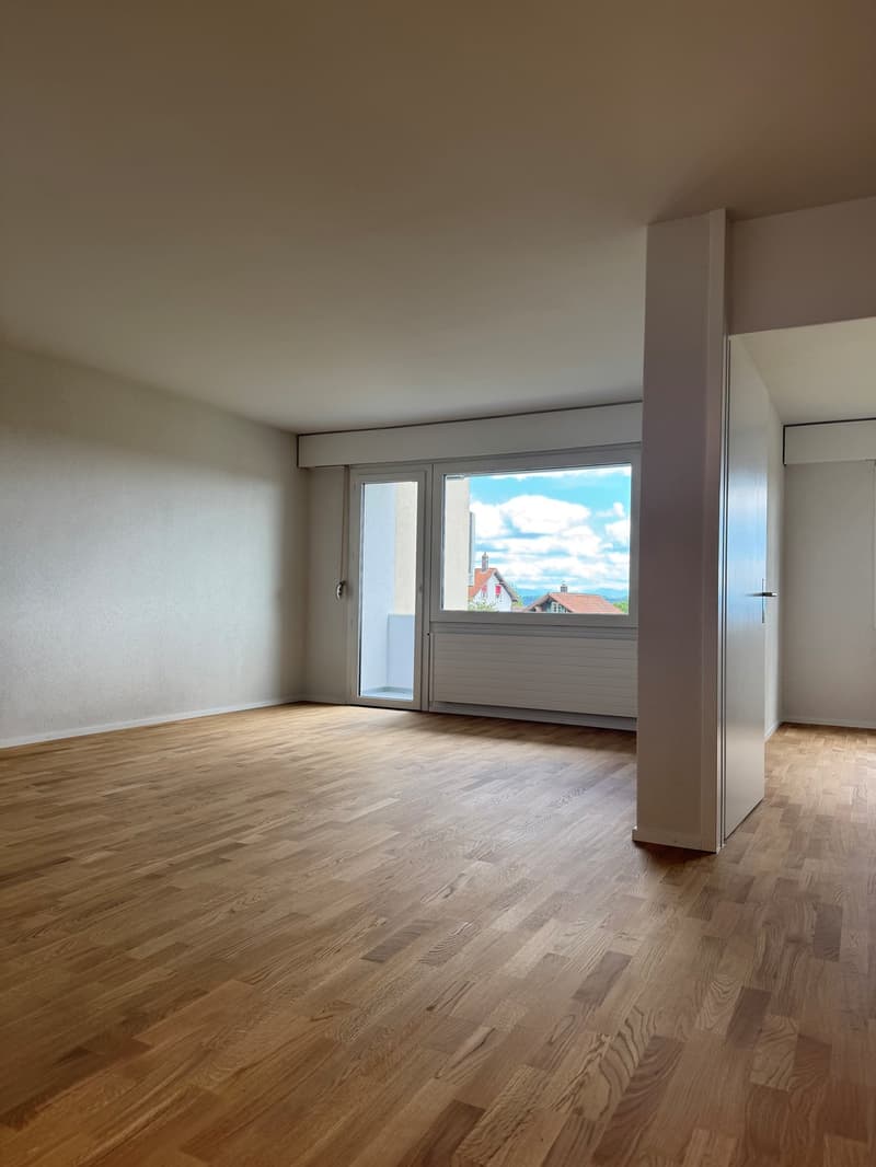 Completely renovated apartment with natural view (4)