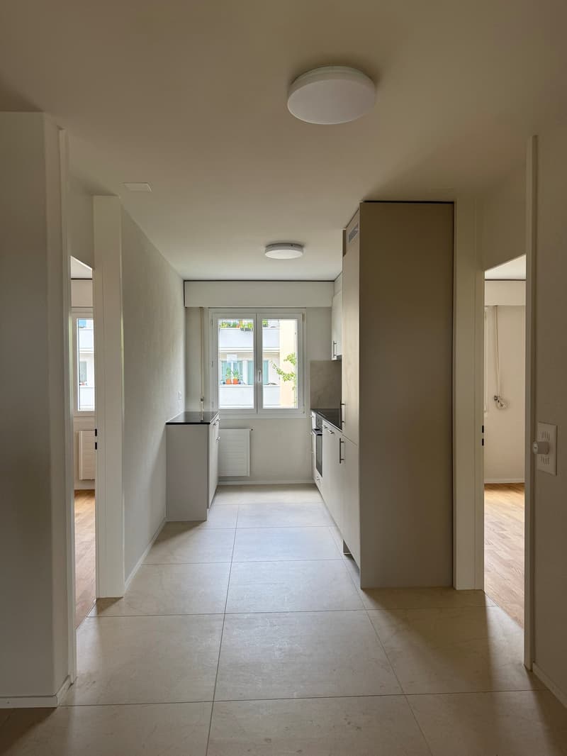 Completely renovated apartment with natural view (2)