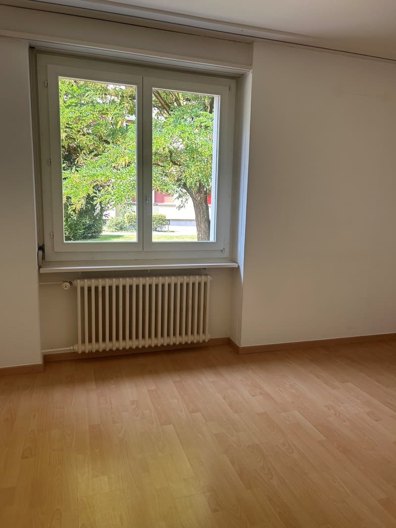 Gemütliche 4-Zimmer-Wohnung in Zofingen (7)