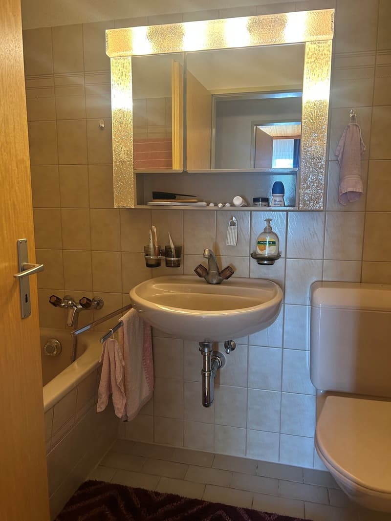 Gemütliche 3.5-Zimmer-Dachwohnung in Zuchwil (3)