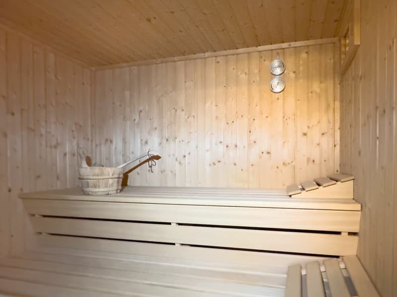 Detached 7-room single-family house with luxurious winter garden, beautiful surroundings, and outdoor swimming pool (33)