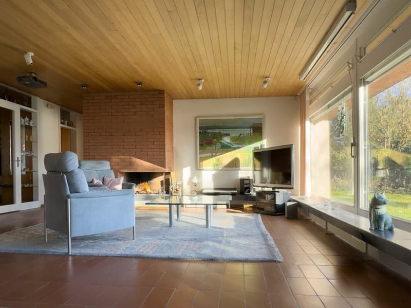 Detached 7-room single-family house with luxurious winter garden, beautiful surroundings, and outdoor swimming pool (6)