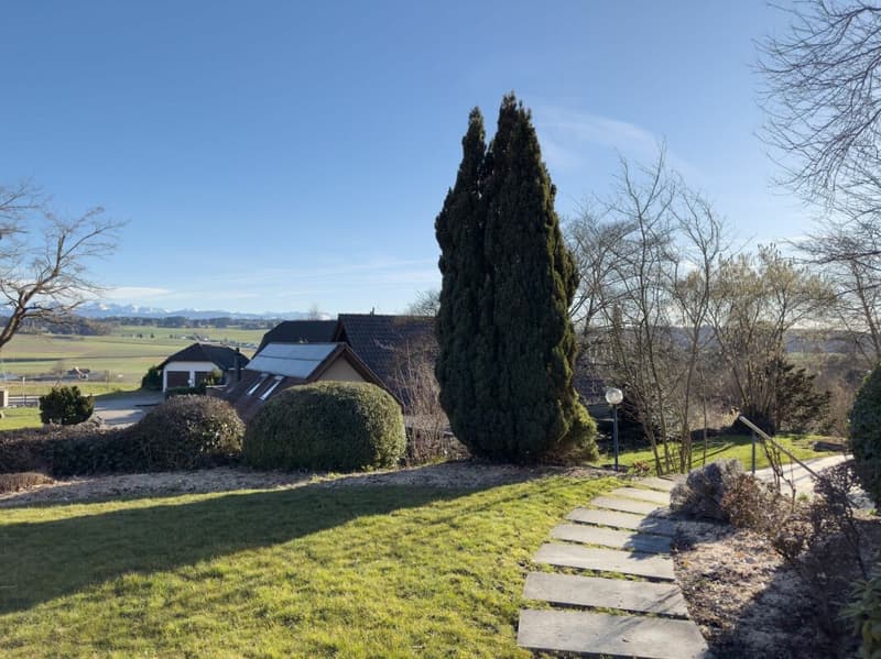 Detached 7-room single-family house with luxurious winter garden, beautiful surroundings, and outdoor swimming pool (23)