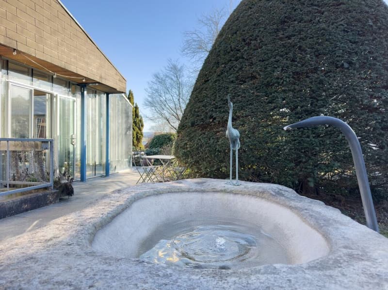 Detached 7-room single-family house with luxurious winter garden, beautiful surroundings, and outdoor swimming pool (21)