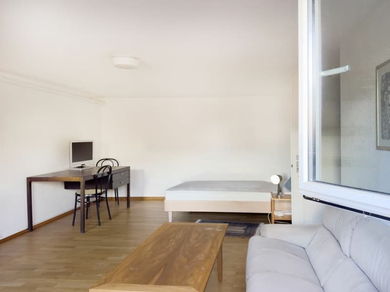 Detached 7-room single-family house with luxurious winter garden, beautiful surroundings, and outdoor swimming pool (28)