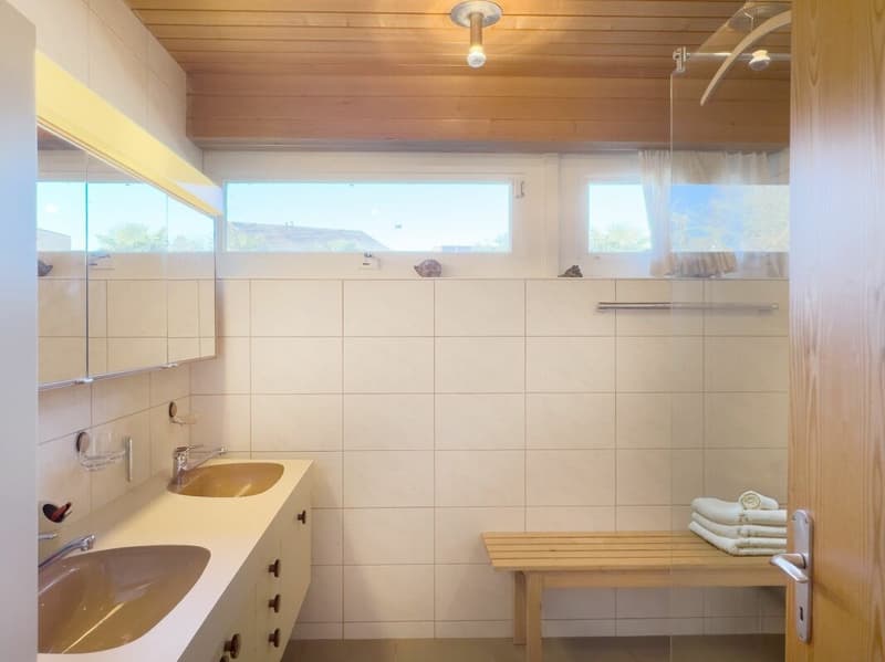 Detached 7-room single-family house with luxurious winter garden, beautiful surroundings, and outdoor swimming pool (18)