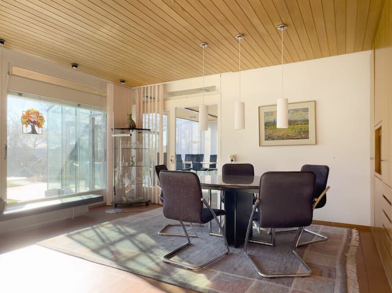 Detached 7-room single-family house with luxurious winter garden, beautiful surroundings, and outdoor swimming pool (8)