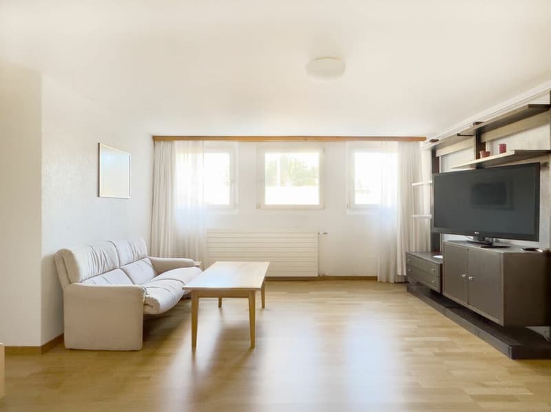 Detached 7-room single-family house with luxurious winter garden, beautiful surroundings, and outdoor swimming pool (29)