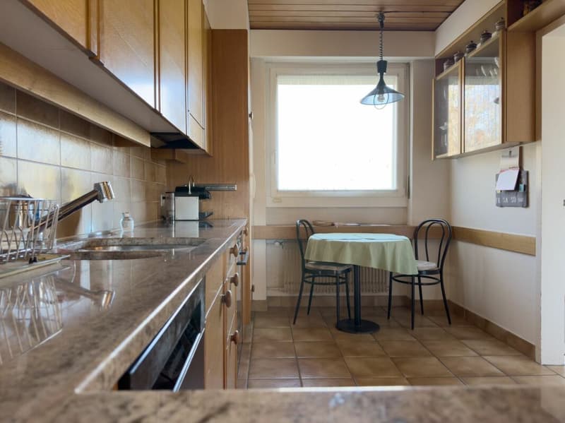 Detached 7-room single-family house with luxurious winter garden, beautiful surroundings, and outdoor swimming pool (10)