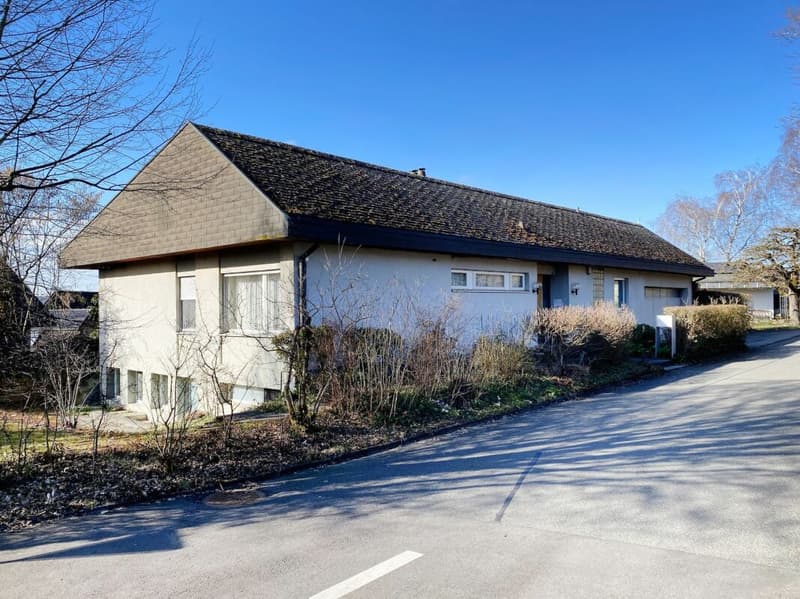 Detached 7-room single-family house with luxurious winter garden, beautiful surroundings, and outdoor swimming pool (37)