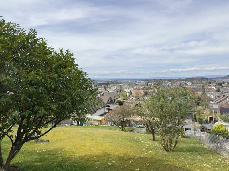 Casa a schiera di 4,5 locali su un terreno eccezionalmente spazioso di 948 m² (23)
