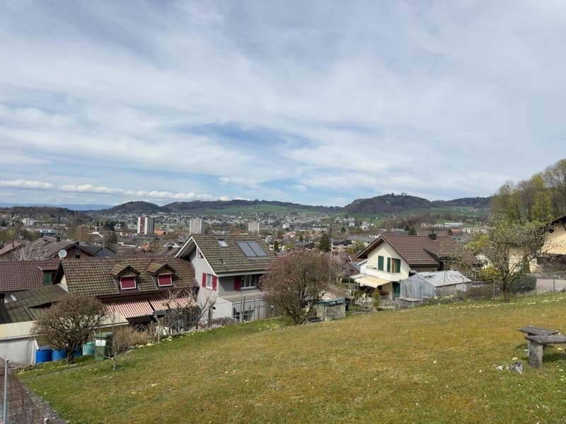 Casa a schiera di 4,5 locali su un terreno eccezionalmente spazioso di 948 m² (21)