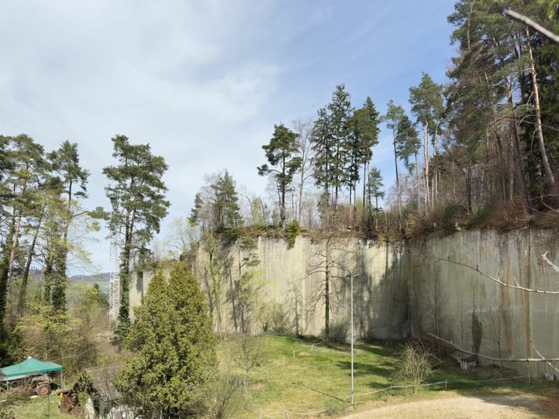 Maison mitoyenne de 4,5 pièces sur un terrain exceptionnellement spacieux de 948 m² (28)