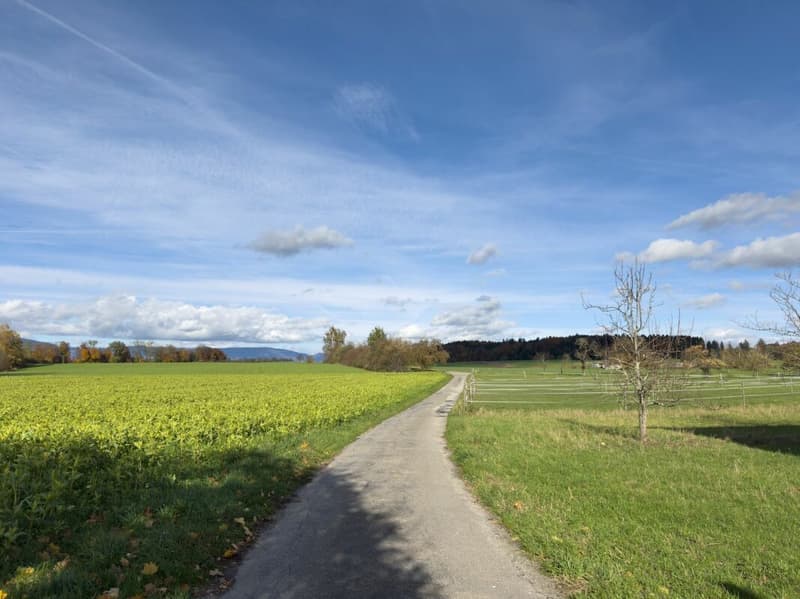 Un vero miracolo di spazio con una bella vista! (23)
