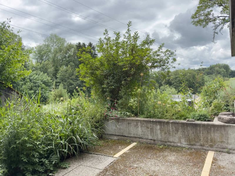 Vivere come in casa propria. Soleggiato, vicino alla città e privato (21)