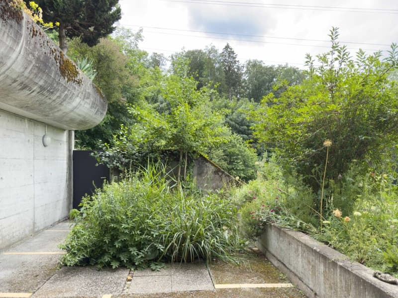 Vivere come in casa propria. Soleggiato, vicino alla città e privato (19)