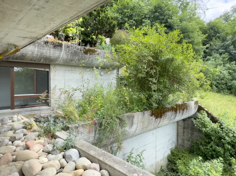 Vivere come in casa propria. Soleggiato, vicino alla città e privato (24)
