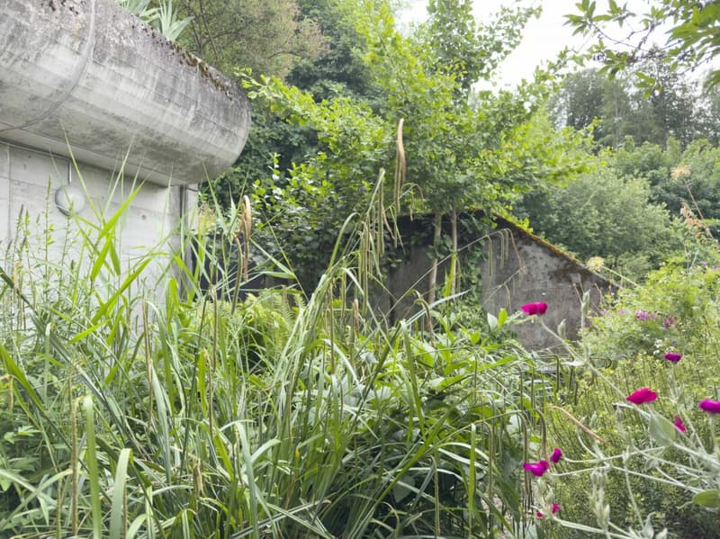 Vivere come in casa propria. Soleggiato, vicino alla città e privato (20)