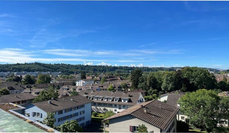 Sunny 3.5-room apartment with balcony, cellar and parking space (20)