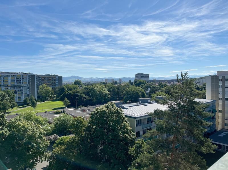 Sunny 3.5-room apartment with balcony, cellar and parking space (21)