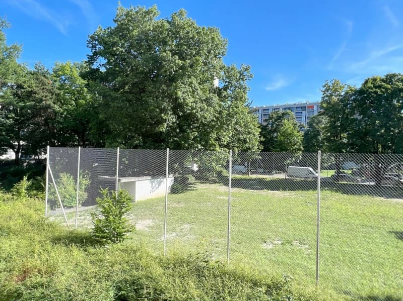 Sunny 3.5-room apartment with balcony, cellar and parking space (24)
