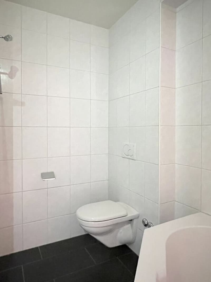 Sunny 3.5-room apartment with balcony, cellar and parking space (9)