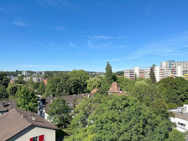 Sunny 3.5-room apartment with balcony, cellar and parking space (23)