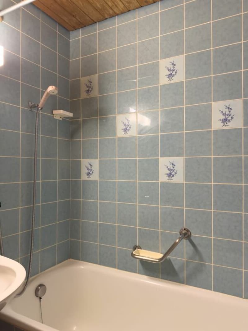 3.5-room row house, originally 4.5 rooms, with low-maintenance surroundings, single garage, and beautiful view location at the gate to the city of Thun (13)