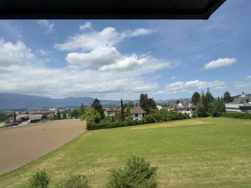 3.5-room row house, originally 4.5 rooms, with low-maintenance surroundings, single garage, and beautiful view location at the gate to the city of Thun (27)