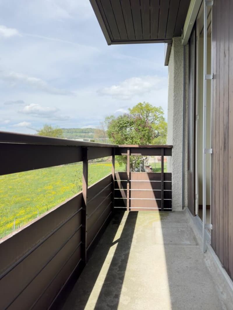 3.5-room row house, originally 4.5 rooms, with low-maintenance surroundings, single garage, and beautiful view location at the gate to the city of Thun (14)