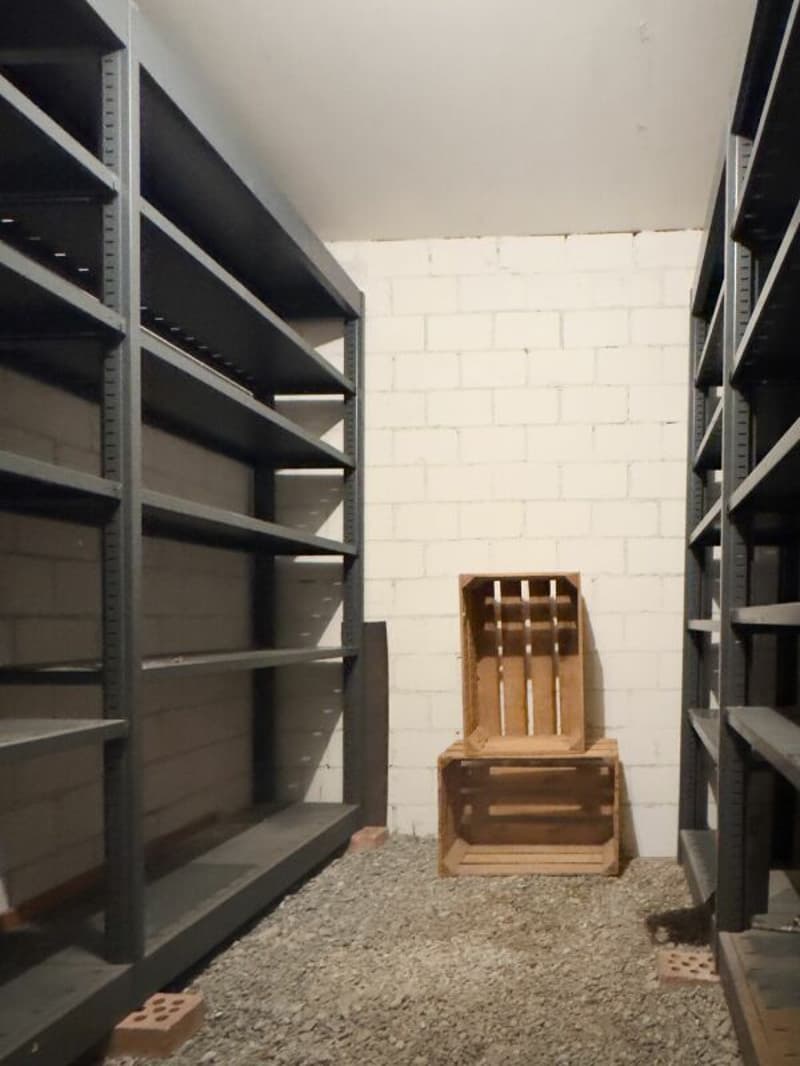3.5-room row house, originally 4.5 rooms, with low-maintenance surroundings, single garage, and beautiful view location at the gate to the city of Thun (21)