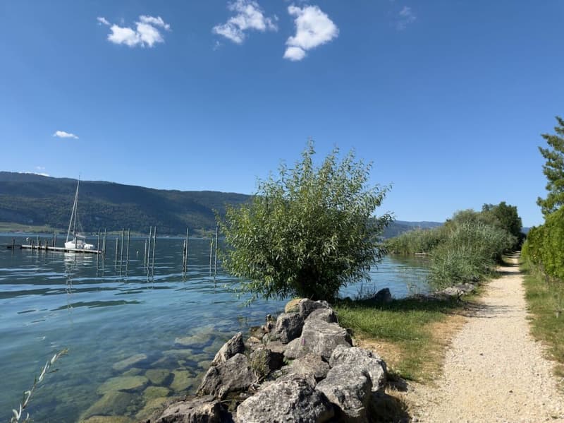 Ampio terreno edificabile sul lago di Bienne con potenziale. Prima e seconda casa possibile! (20)