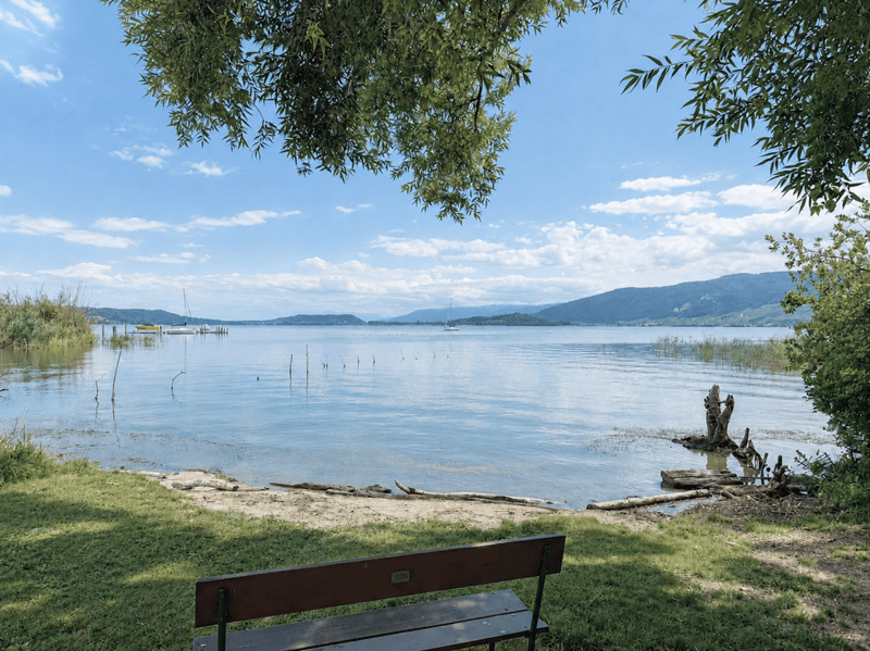 Ampio terreno edificabile sul lago di Bienne con potenziale. Prima e seconda casa possibile! (19)