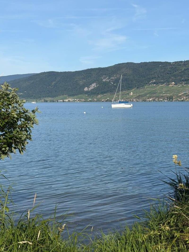 Ampio terreno edificabile sul lago di Bienne con potenziale. Prima e seconda casa possibile! (21)