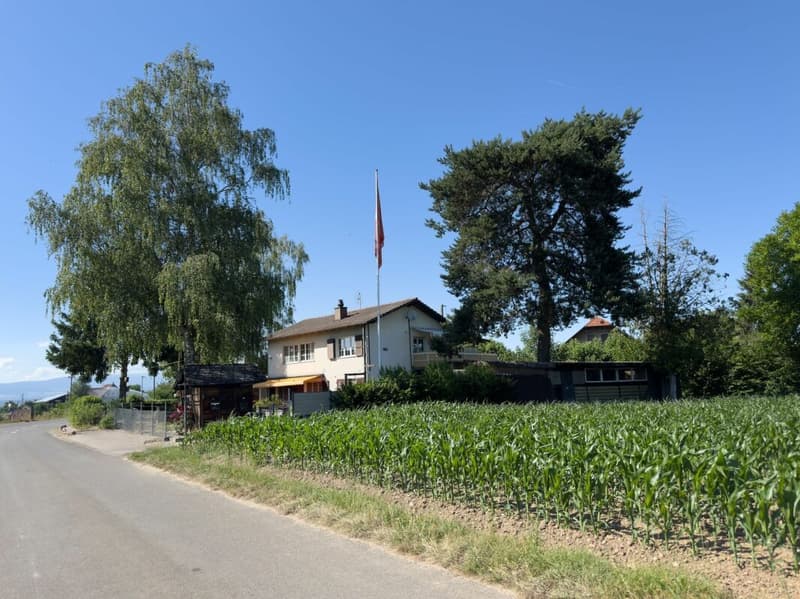 Detached 6.5-room single-family house with winter garden, workshop, and versatile outbuildings (26)
