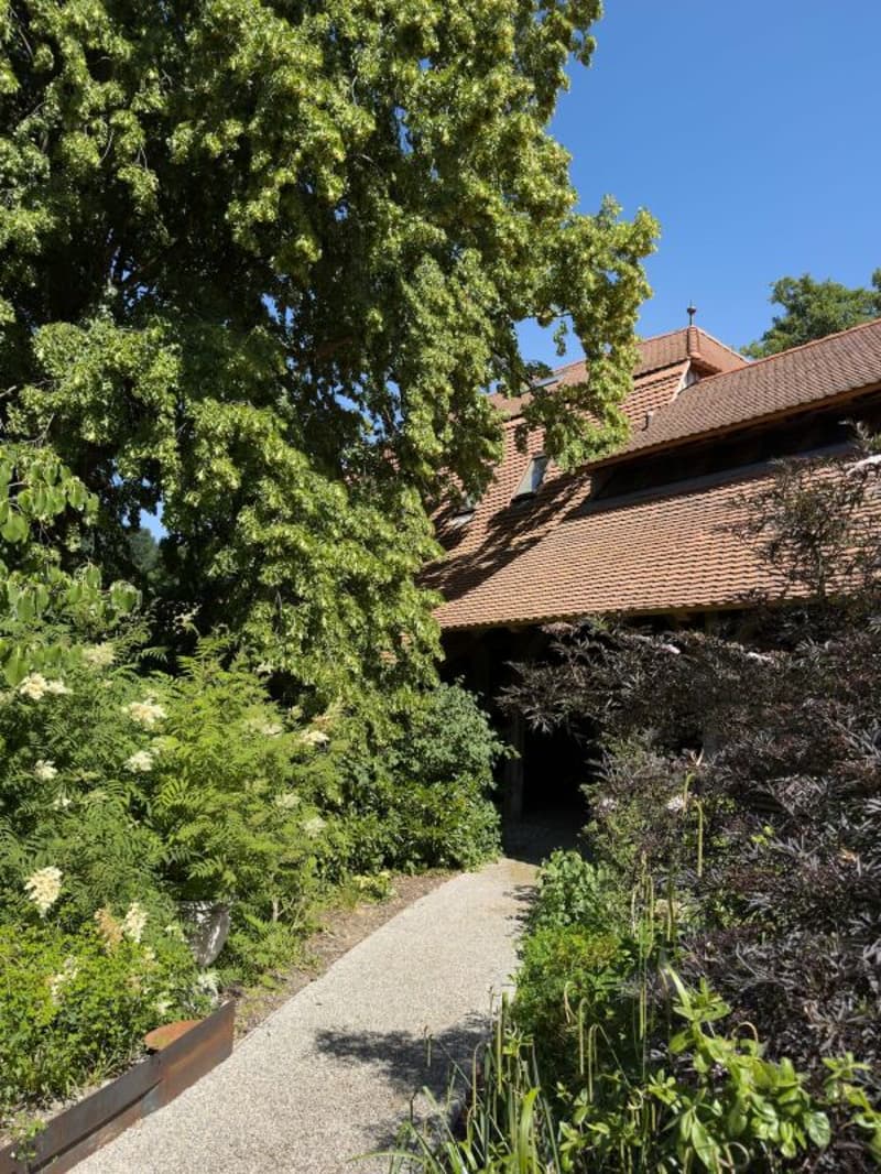 Modern ausgebaute 2.5-Zimmer-Duplexwohnung mit einzigartiger Wohnqualität, gemütlicher Loggia, Einstellhallenplatz und vielfältigen Annehmlichkeiten im Schlosspark (21)