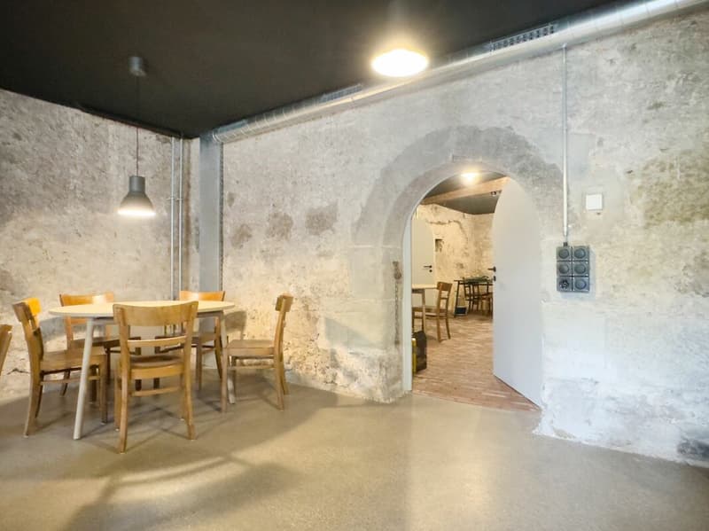 Modern ausgebaute 2.5-Zimmer-Duplexwohnung mit einzigartiger Wohnqualität, gemütlicher Loggia, Einstellhallenplatz und vielfältigen Annehmlichkeiten im Schlosspark (29)