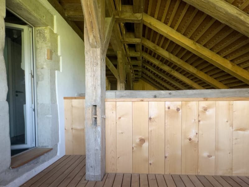 Modern ausgebaute 2.5-Zimmer-Duplexwohnung mit einzigartiger Wohnqualität, gemütlicher Loggia, Einstellhallenplatz und vielfältigen Annehmlichkeiten im Schlosspark (15)